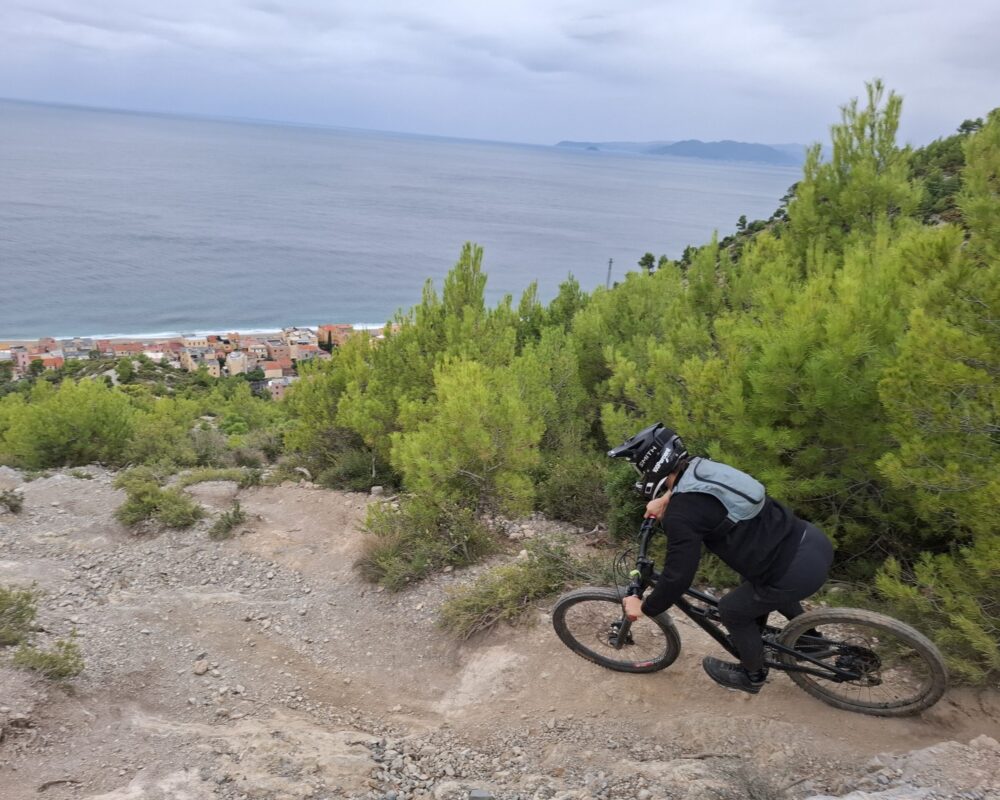 20251107_114839 (1) (1)